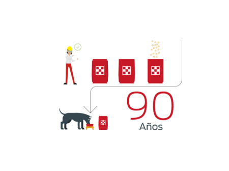 Ilustración del proceso de la comida en Purina