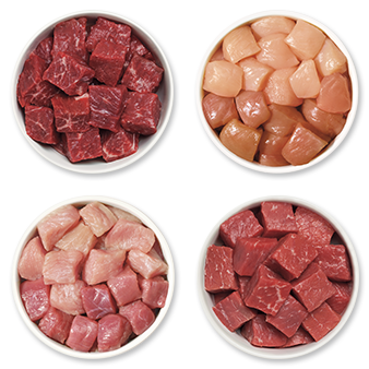 Platos con las 4 proteínas 