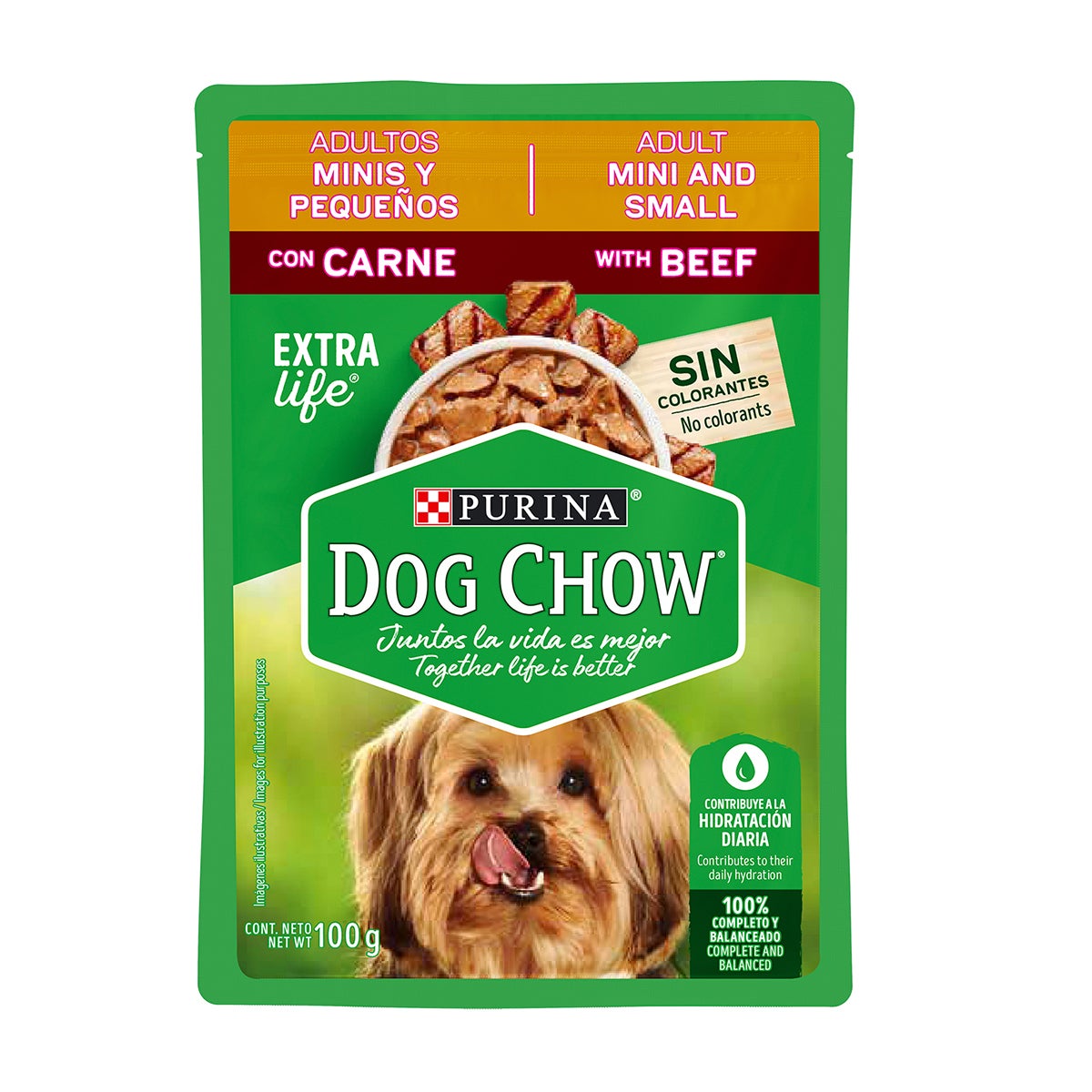 dog-chow-wet-adultos-minis-y-pequen%CC%83os-carne-front.jpg