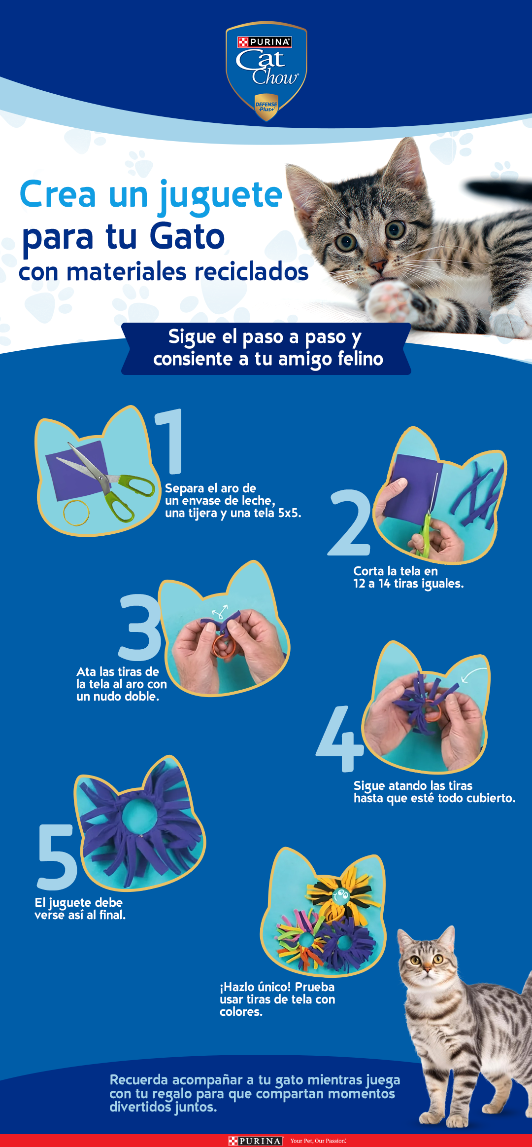 Crea un juguete para tu gato