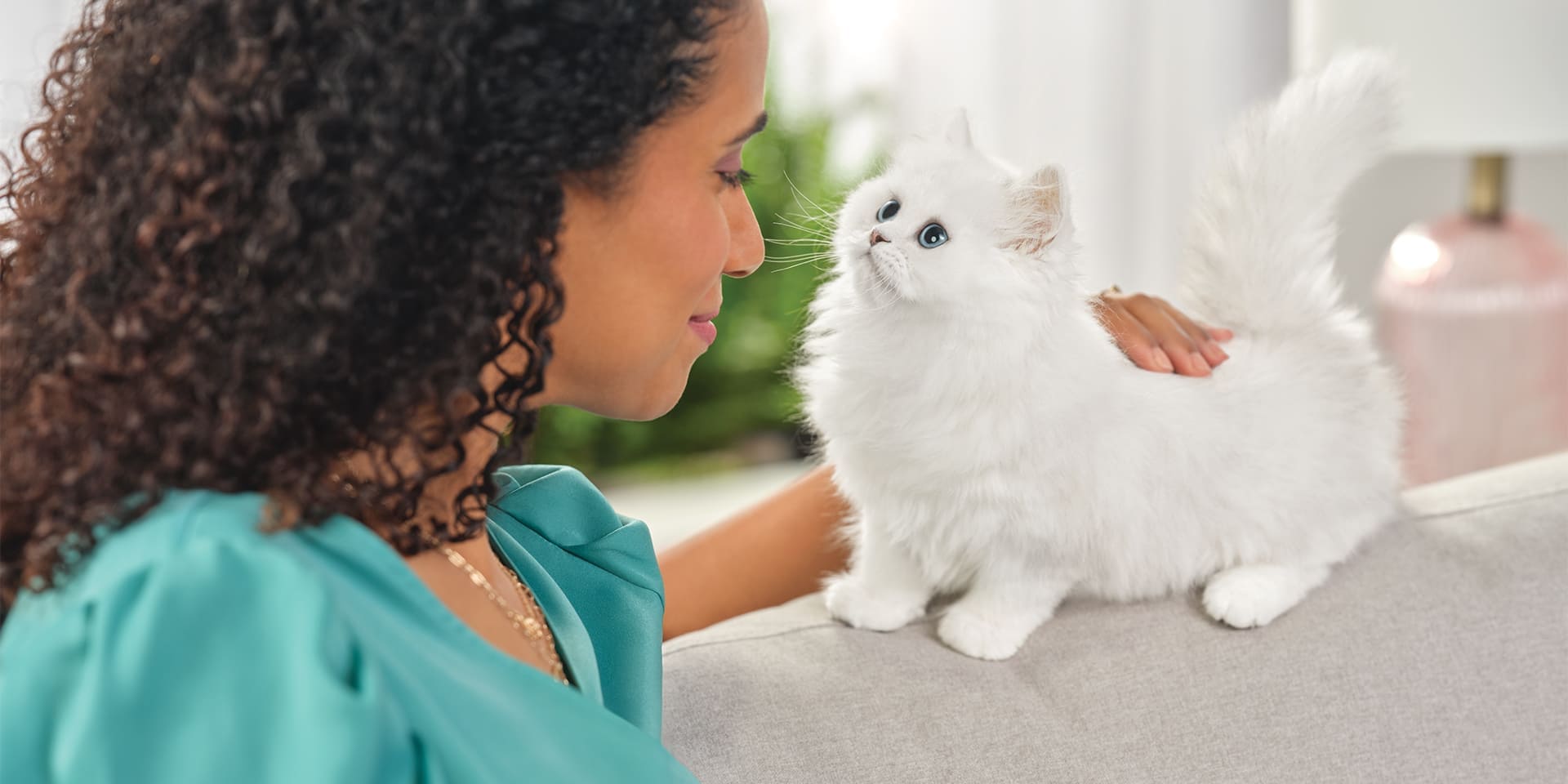 Cómo demostrar amor a tu mascota Cómo demostrar amor a tu mascota