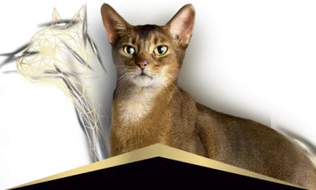 Pro-Plan-gatos.png.webp?itok=LoXuEysH Pro-Plan-gatos.png.webp?itok=LoXuEysH
