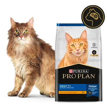 Purina%C2%AE-Proplan%C2%AE-Optiage.png.webp?itok=JoO1ilQX Purina%C2%AE-Proplan%C2%AE-Optiage.png.webp?itok=JoO1ilQX