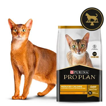Purina%C2%AE-Proplan%C2%AE-Optifit.png.webp?itok=I7k-GVfb Purina%C2%AE-Proplan%C2%AE-Optifit.png.webp?itok=I7k-GVfb