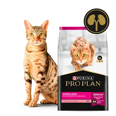Purina%C2%AE-Proplan%C2%AE-Optirenal.png.webp?itok=lfOOuTGd Purina%C2%AE-Proplan%C2%AE-Optirenal.png.webp?itok=lfOOuTGd