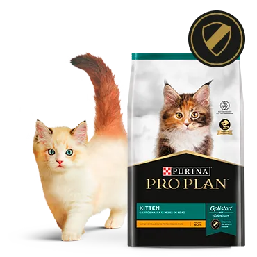 Purina%C2%AE-Proplan%C2%AE-Optistar.png.webp?itok=UDS3R05b Purina%C2%AE-Proplan%C2%AE-Optistar.png.webp?itok=UDS3R05b