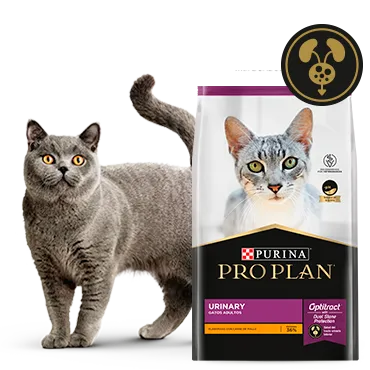 Purina%C2%AE-Proplan%C2%AE-Optritact.png.webp?itok=QvTfxy8d Purina%C2%AE-Proplan%C2%AE-Optritact.png.webp?itok=QvTfxy8d