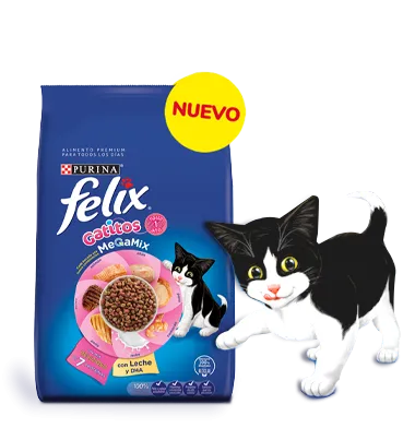 purina-felix-gatitos-megamix.png.webp?itok=OgcO1njY