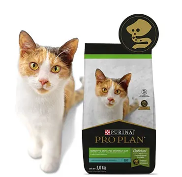 CTA_Optidual_Gato.jpg.webp?itok=D2tTt_IN CTA_Optidual_Gato.jpg.webp?itok=D2tTt_IN