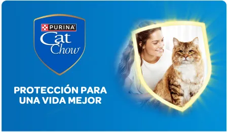 Cta-CatChow.png.webp?itok=fhS0TwUn