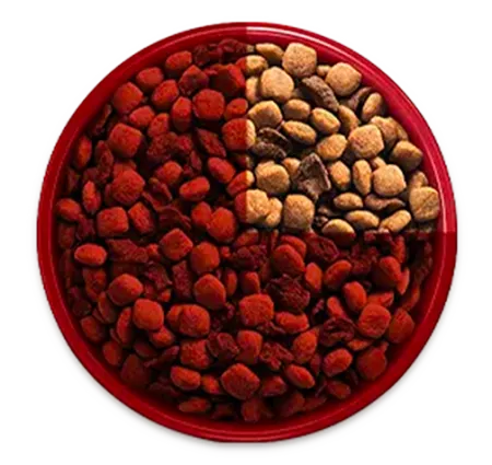 purina-one-transicion-alimento-bowl-1.png.webp?itok=B2lChYM8