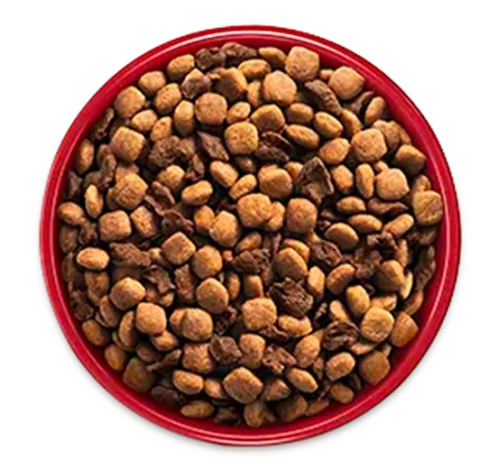 purina-one-transicion-alimento-bowl-4.png.webp?itok=W4vT-4OJ