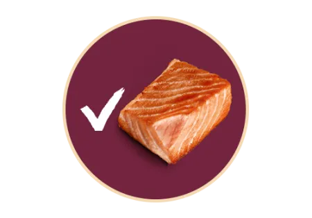 DT_Multiproteina_Salmon.png.webp?itok=wklxmN8P