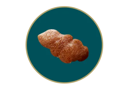 DT_Seleccion_Nuggets.png.webp?itok=SM1z-YqK