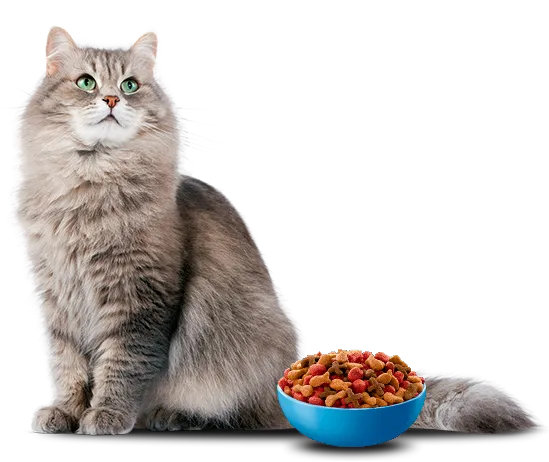 Purina Cat Chow® registro.png