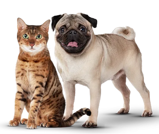 purina-excellent-form.png