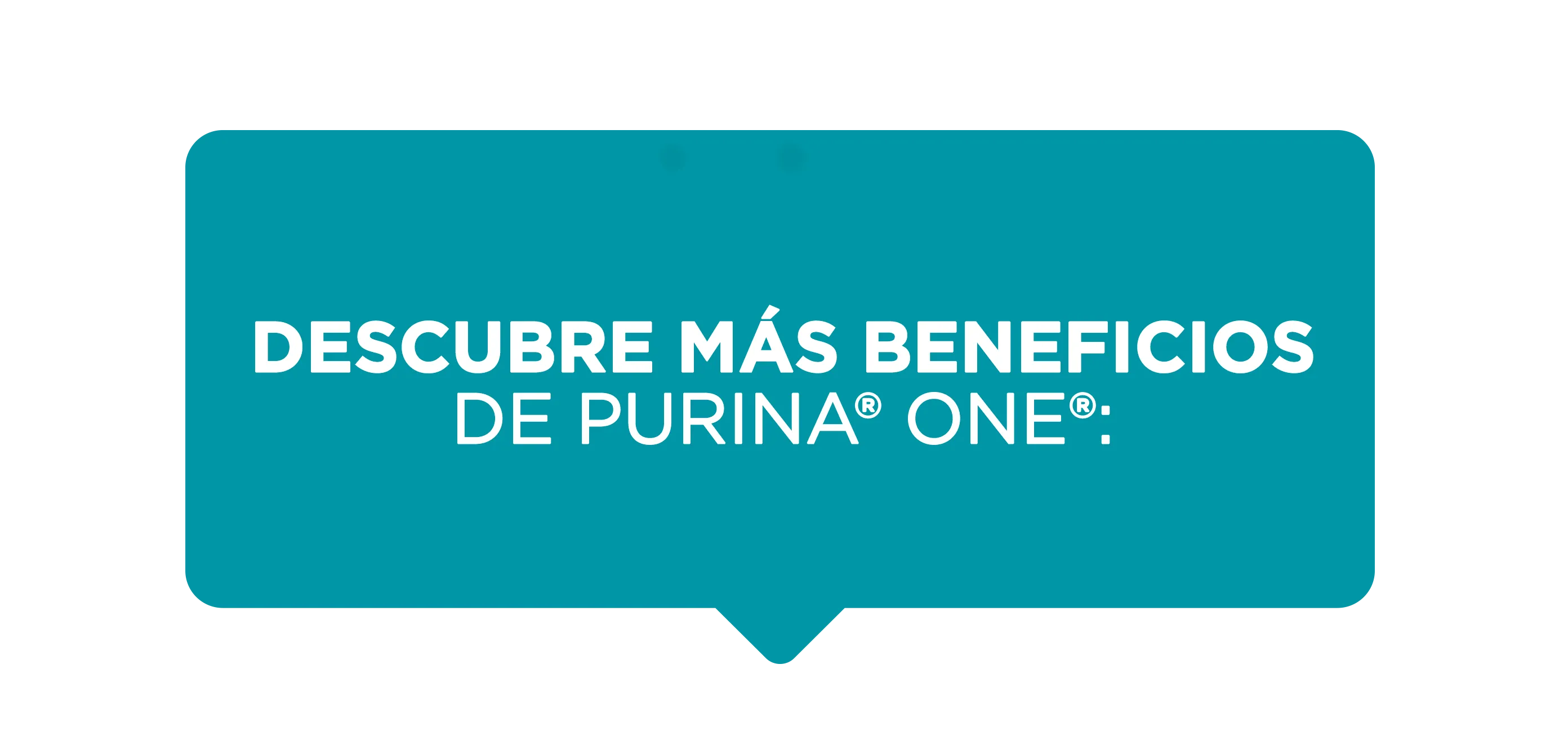 purina-one-image-descubre-beneficios.png